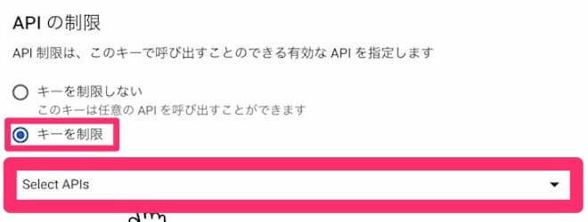 Google Cloud Platform APIの制限 キーを制限