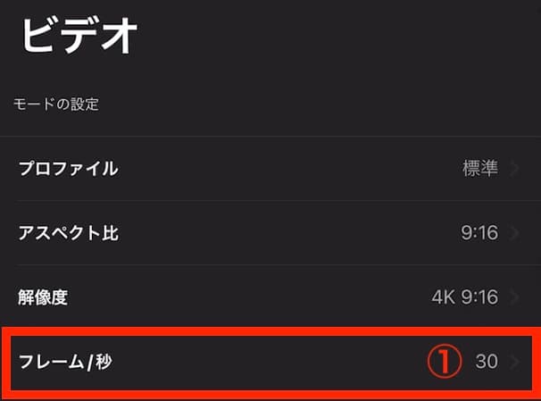 ビデオ設定 フレーム/秒