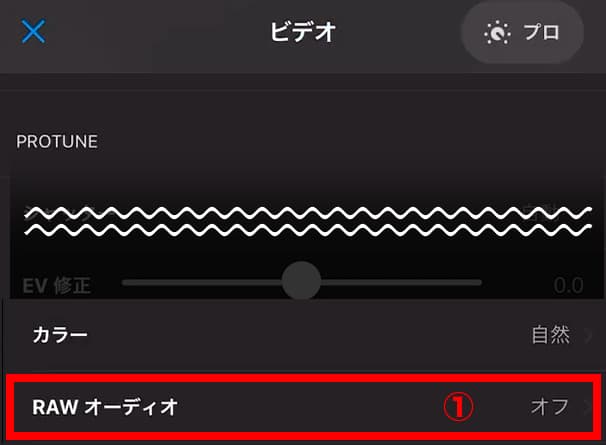 ビデオ設定 RAWオーディオ