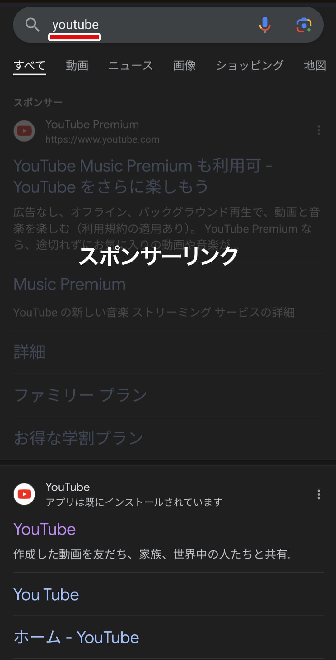 「YouTube」で検索した結果画面