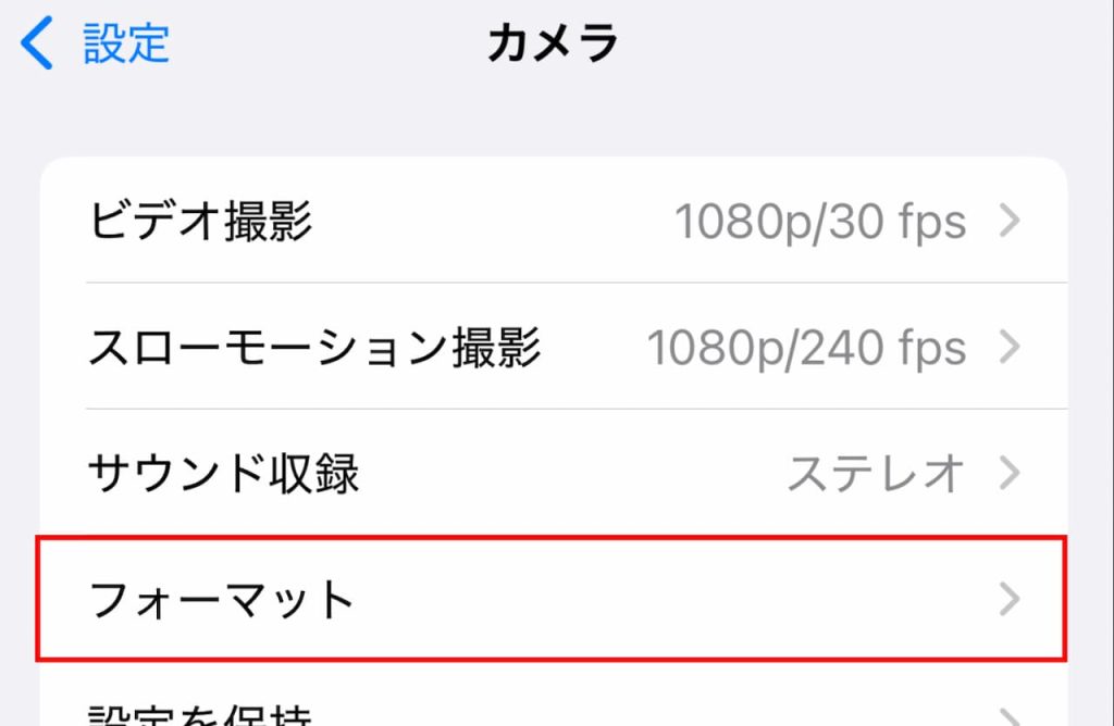 「カメラ」の「フォーマット」