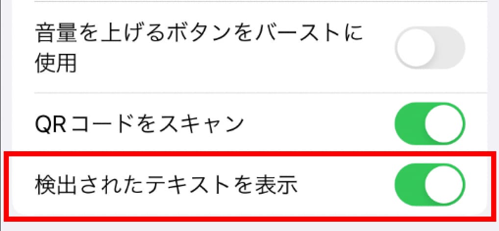 iPhone SE「設定 」から「カメラ」の「検出されたテキストを表示」