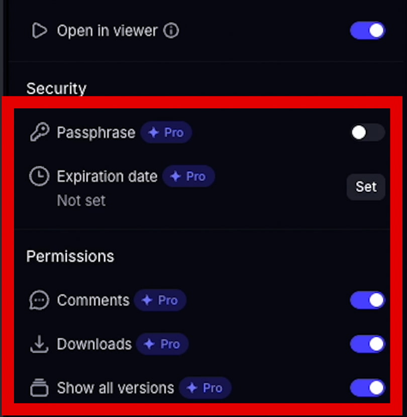 Frame.io Pro限定機能